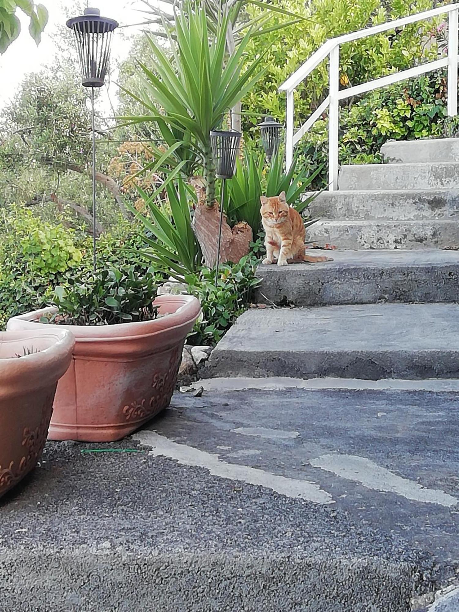 Villa Johnny And Mary'S House Breathtaking View Taormina Bilik gambar